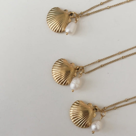 Golden Seashell Necklace