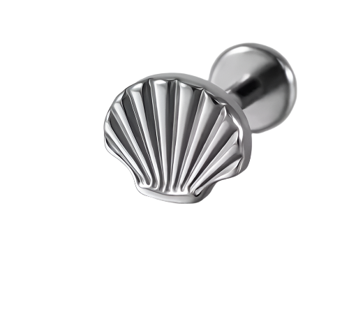 Seashell Stud