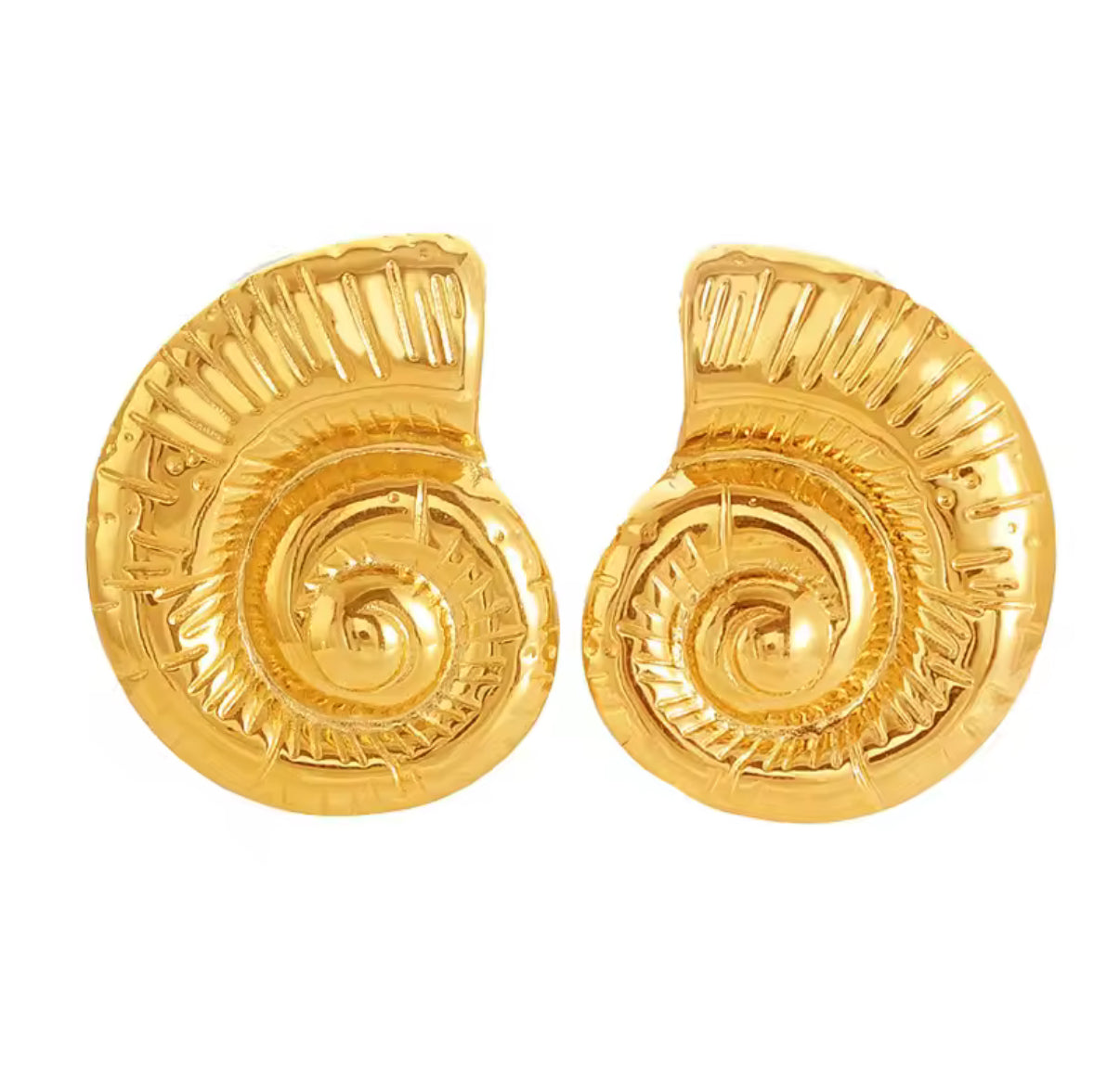 Conch Earrings