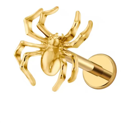 Spider Stud