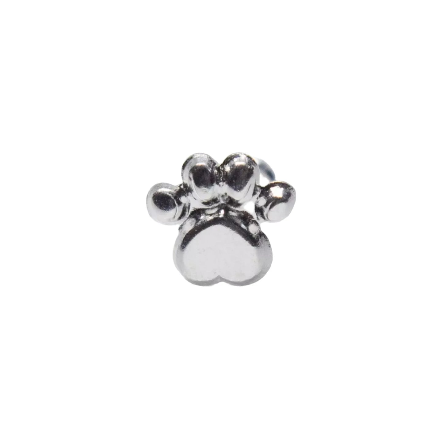 Dog Paw Stud