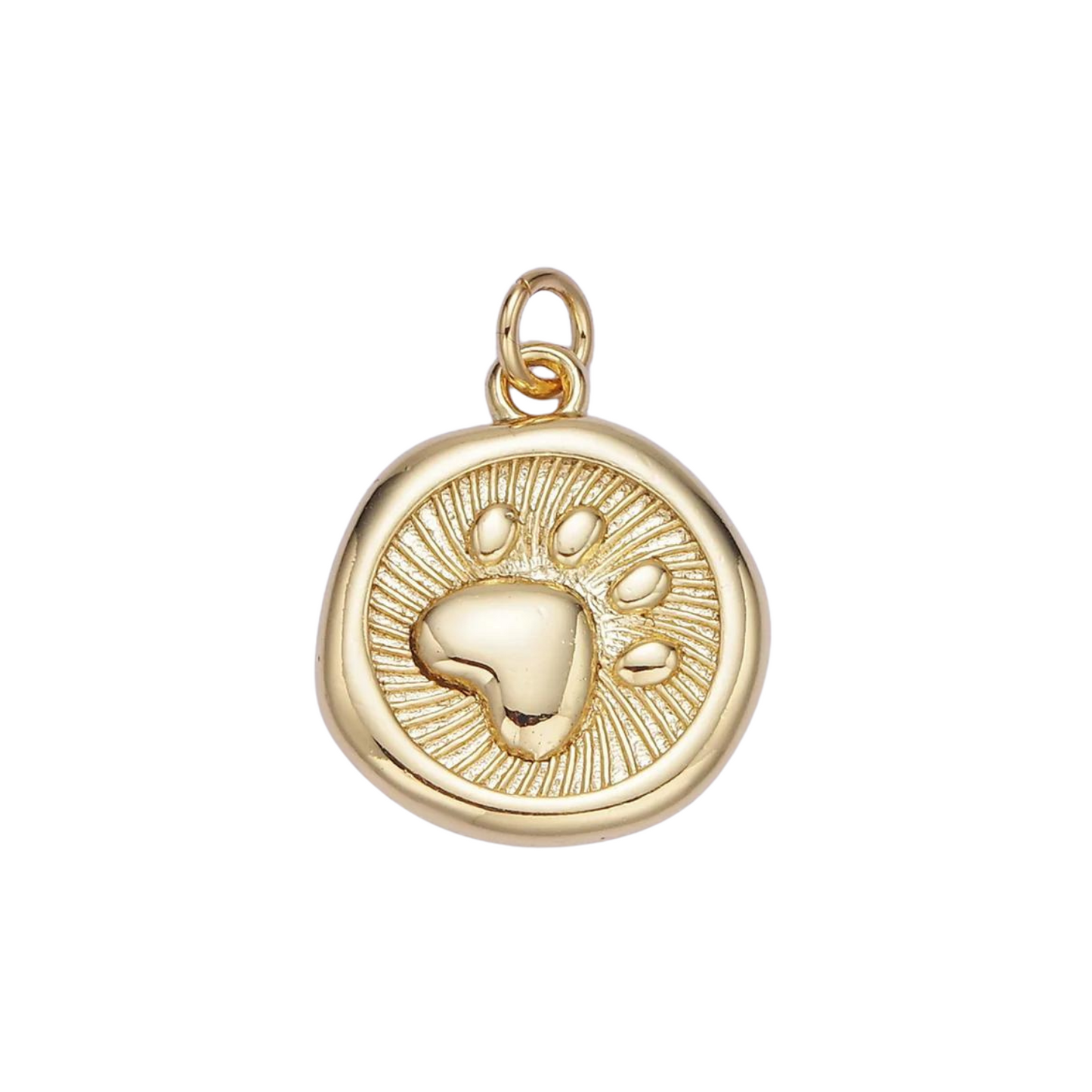 Dog Paw Charm